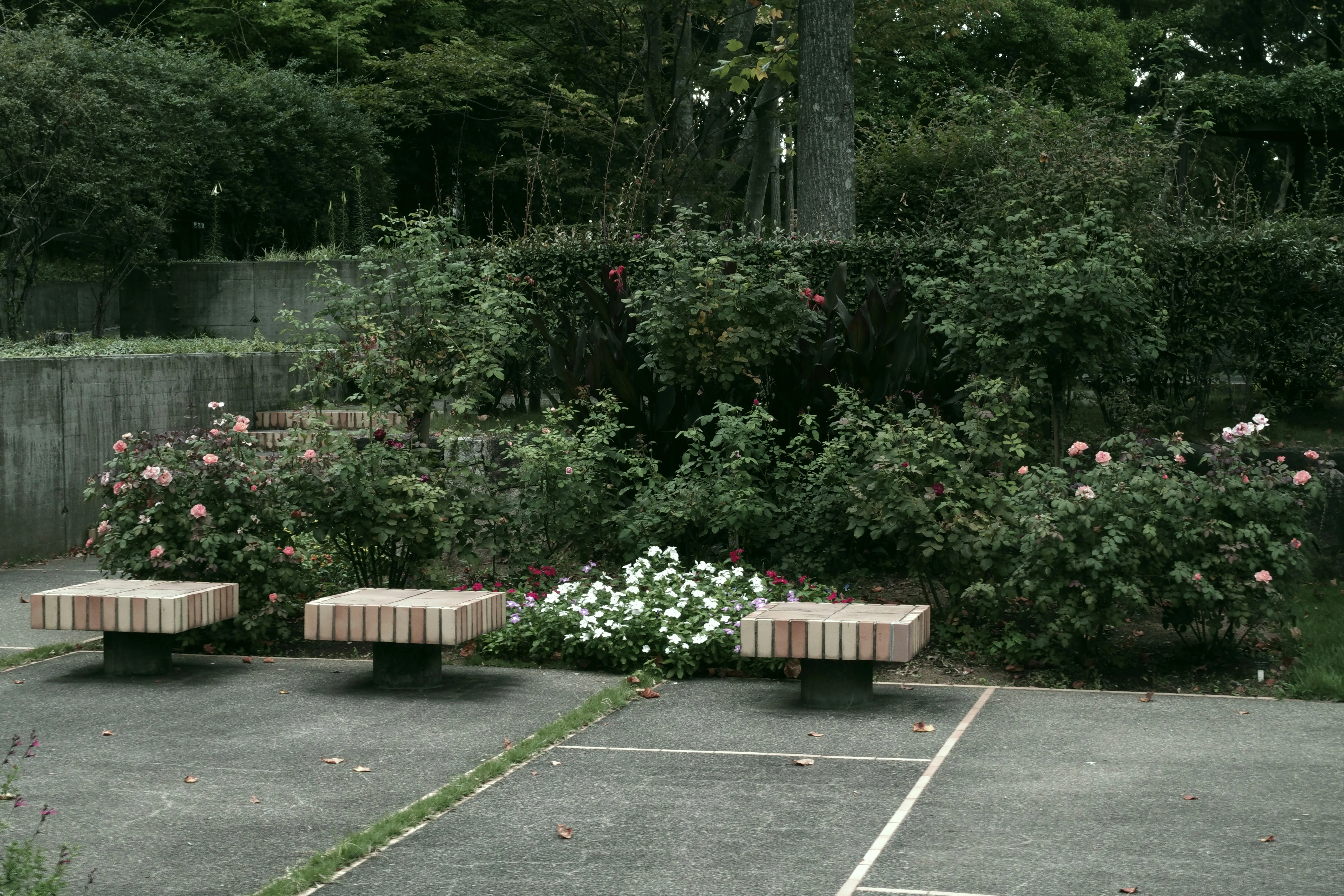 Timber slat screening for backyard privacy