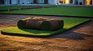 How to Prepare Your Lawn for a Scorchingly Hot Summer